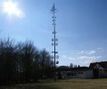 Joshofen Maibaum